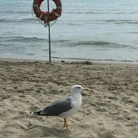 Apartament La Casa Degli Angioletti *