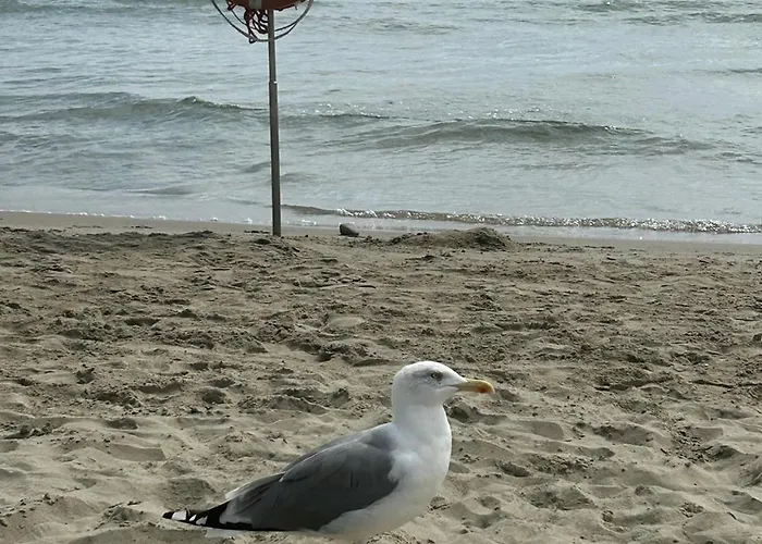 Apartman La Casa Degli Angioletti *